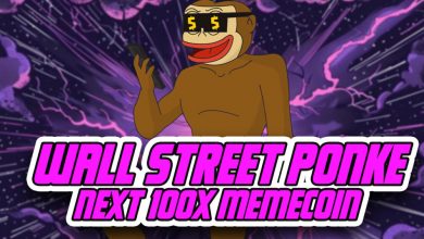 wall-street-ponke-presale-leads-100x-bull-run-rumours-as-bonk-enters-the-gaming-world