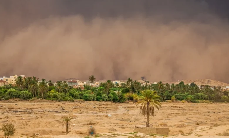 how-desert-dust-and-monsoon-residue-damage-outdoor-surfaces